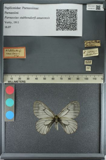 Media type: image;   Entomology 180131